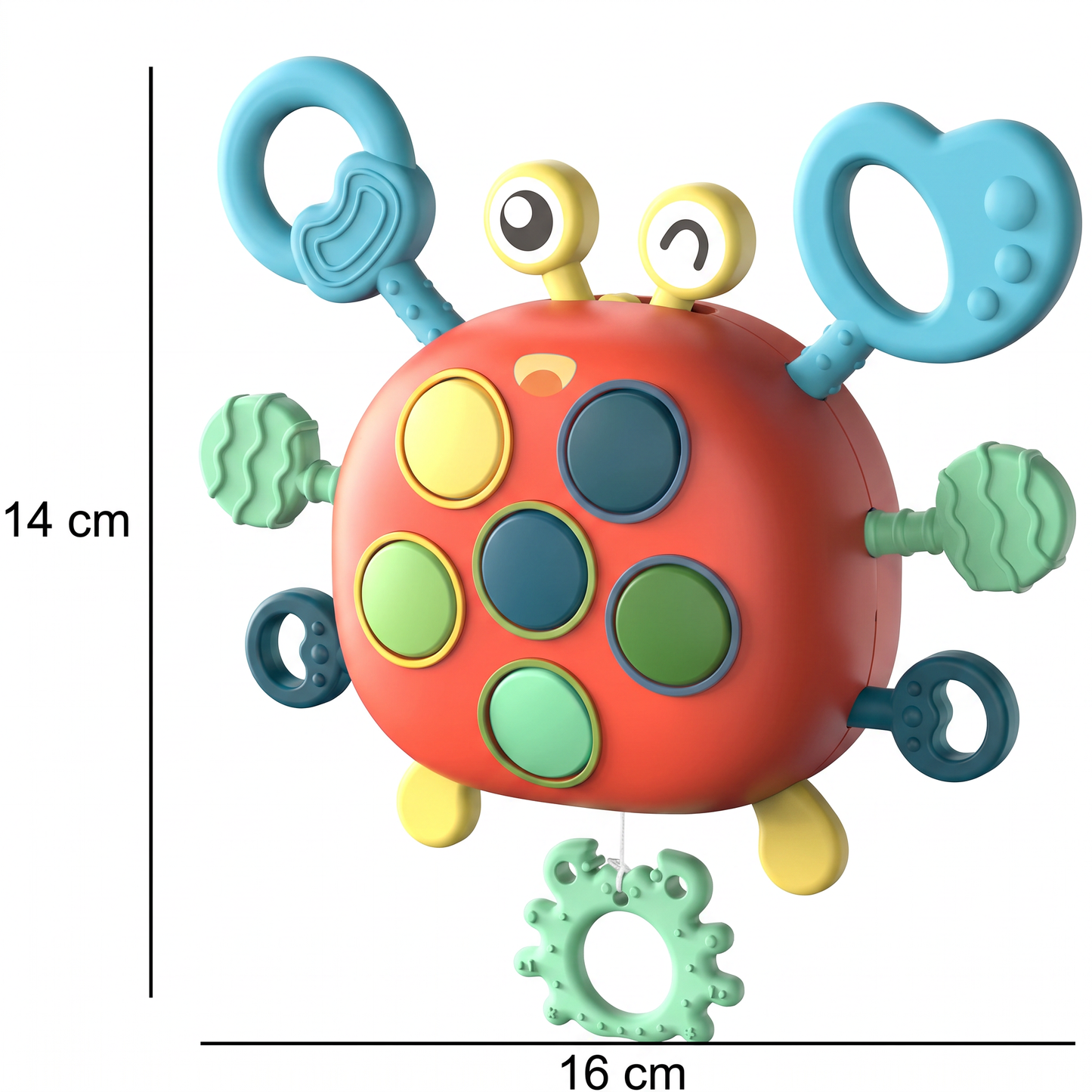 Colourful Crab Toy