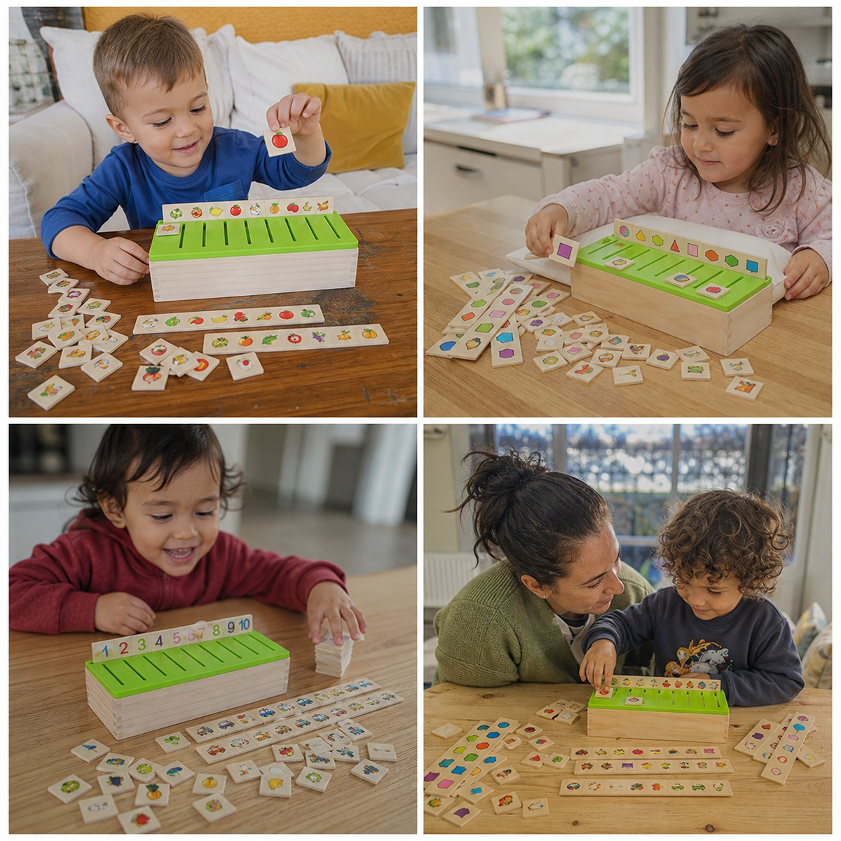 Montessori Wooden Sorting Box
