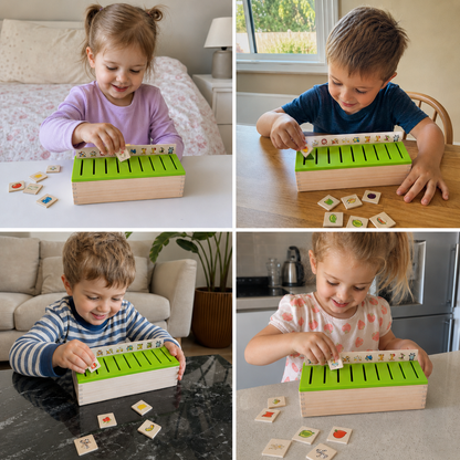 Montessori Wooden Sorting Box