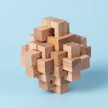 Montessori 3D Wooden Brain Puzzle - Early Learning Toy