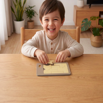 Wooden Tangram puzzle game