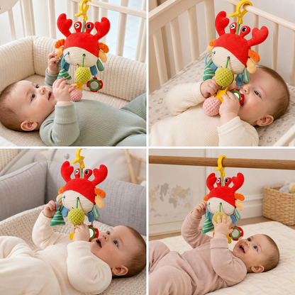 Crab Activity Toy with Pull Cord, Rattle & Teether for Babies