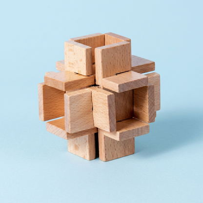 Montessori 3D Wooden Brain Puzzle - Early Learning Toy