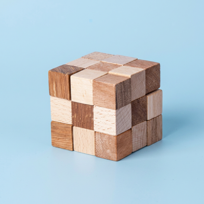 Montessori 3D Wooden Brain Puzzle - Early Learning Toy