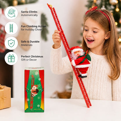 Leather Climbing Santa Claus