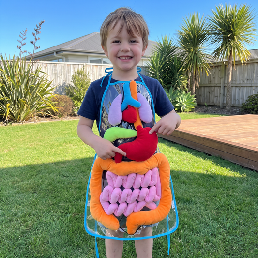 Apron – Learn About the Human Body Through Play