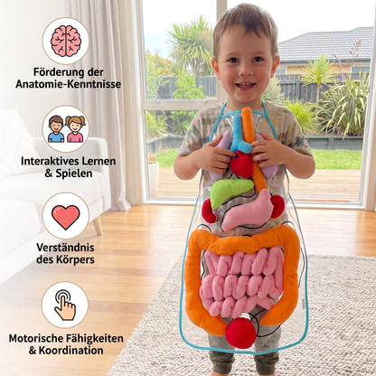 Apron – Learn About the Human Body Through Play