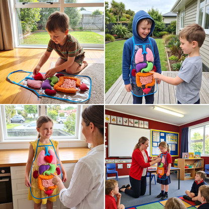Apron – Learn About the Human Body Through Play