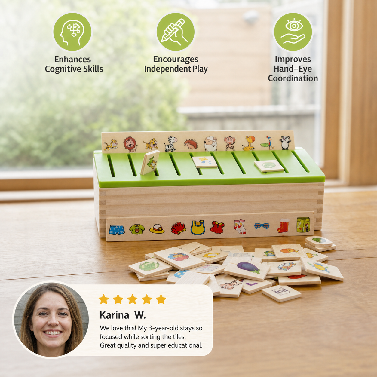Montessori Wooden Sorting Box