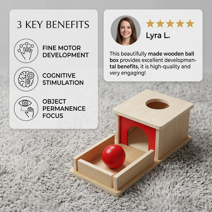 Montessori Wooden Box with Ball for Toddlers