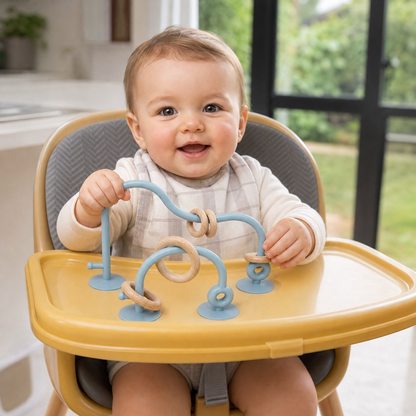 Suction Cup Toy for Toddlers