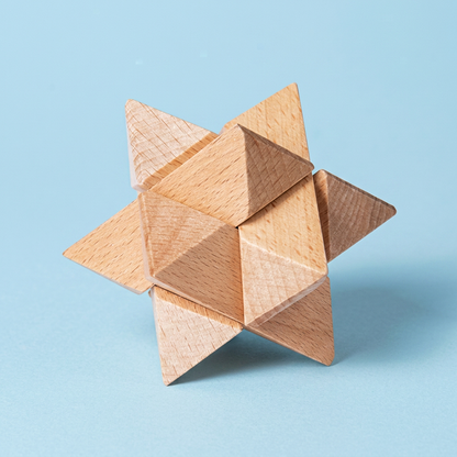 Montessori 3D Wooden Brain Puzzle - Early Learning Toy