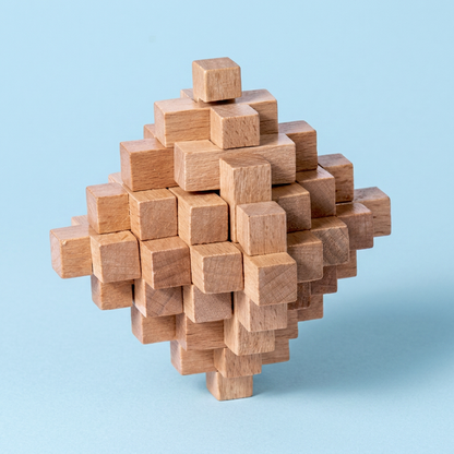 Montessori 3D Wooden Brain Puzzle - Early Learning Toy