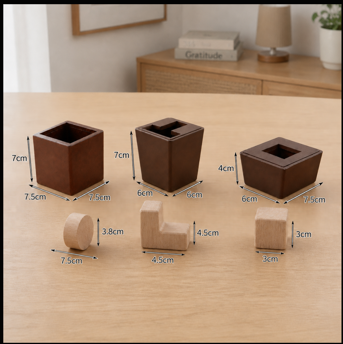3D Wooden Logic Puzzle & Shape Challenge
