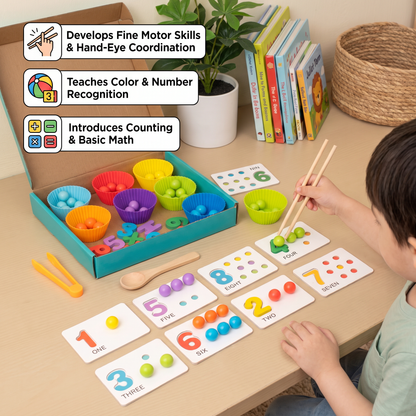 Montessori Ball Number and Colour Sorting Set for Learning to Count