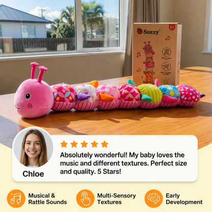 Sensory plush rattle and music caterpillar
