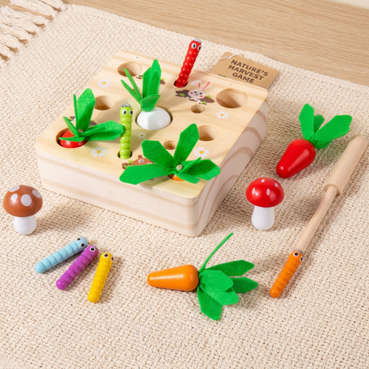 Montessori Learning and Development Wooden Toy