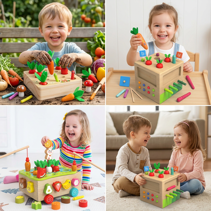 Montessori Learning and Development Wooden Toy